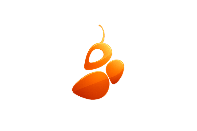 Patrocinador oficial